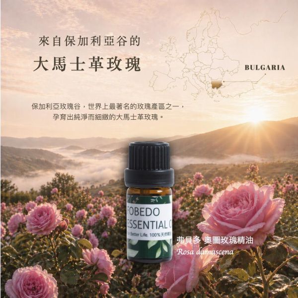 奧圖玫瑰 Otto Rose / Rosa damascena｜愛、信任、自我接納｜ 花中之后 × 柔軟內在 × 愛與優雅 × 深度花香 5ml 奧圖玫瑰精油,保加利亞玫瑰精油,大馬士革玫瑰,蒸餾玫瑰精油,高品質玫瑰精油,玫瑰精油推薦,玫瑰精油功效,芳療精油,天然精油,FOBEDO