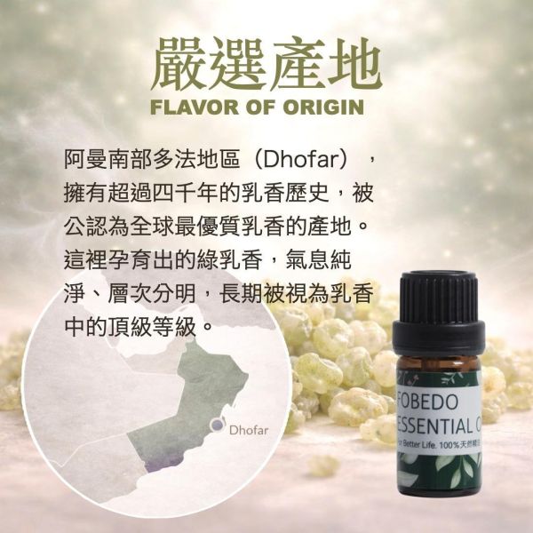阿曼特級綠乳香 Frankincense / Boswellia sacra｜神聖綠乳香｜行氣啟動 × 細胞活化 × 深層釋放 × 高我連結 5ml 弗貝多,阿曼綠乳香精油,天然精油,能量修復,行氣,安撫情緒