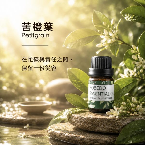 苦橙葉 15ml｜Petitgrain｜在忙碌與責任之間，保留一份從容 弗貝多,苦橙葉精油,放下執著,情緒調節,天然精油,沉靜思緒,平撫壓力,能量淨化,平衡身心,除穢