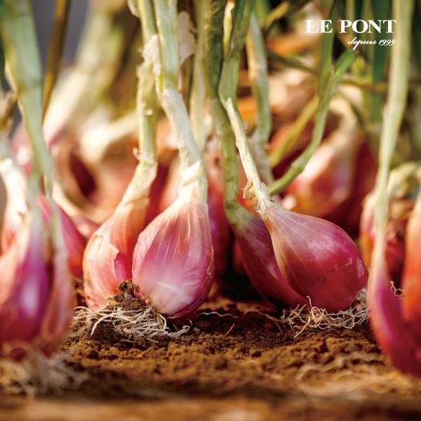 『2026珍藏版』經典四入禮盒_珍選版 樂朋,LE PONT,黃金鵝油香蔥,珍藏版,2026珍藏版,油蔥,鵝油,禮盒,伴手禮,鵝油禮盒,醬料禮盒,四入禮盒