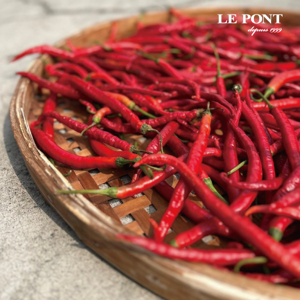 無辣不歡入手組 樂朋,LEPONT,鵝油,油蔥,鵝油香蔥,橋邊鵝肉,必比登,米其林必比登,辣油,黃金鵝香辣油,鵝辣油,辣味