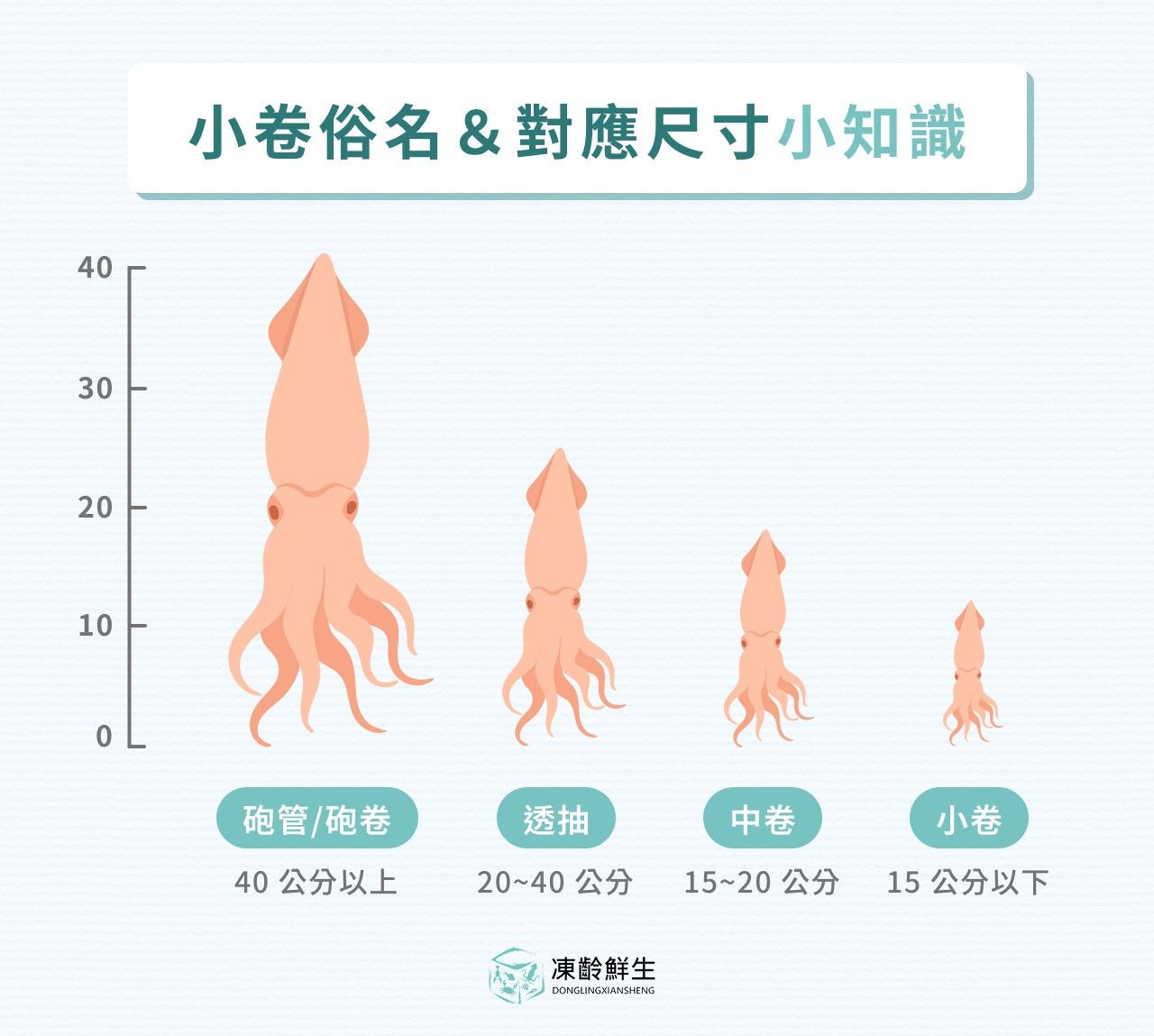 小卷俗名＆對應尺寸小知識