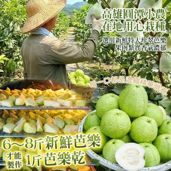 高雄圓潭珍翠芭樂乾150g 