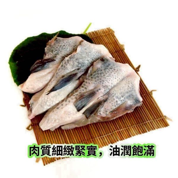 晉宗 台灣鯛魚下巴 