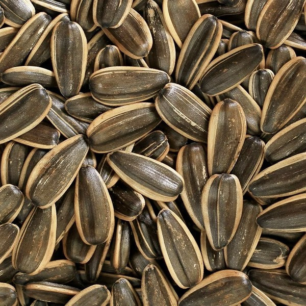 阿華師 嗑瓜開運禮盒8入 