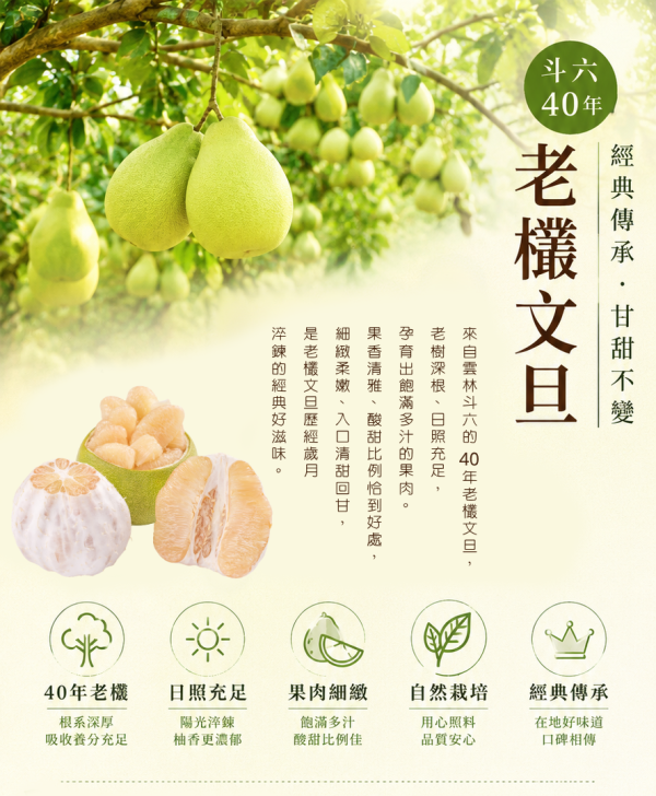 斗六40年老欉文旦柚 