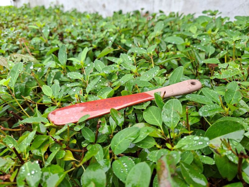 川味麻辣餅乾棒 陶瓷攪拌棒 奶油抹刀 鶯歌製 