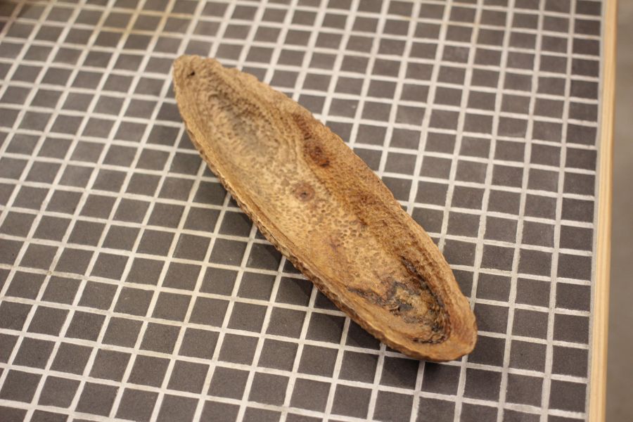 樟木 雕刻臥香座 點心盤 三峽日月坊出品 