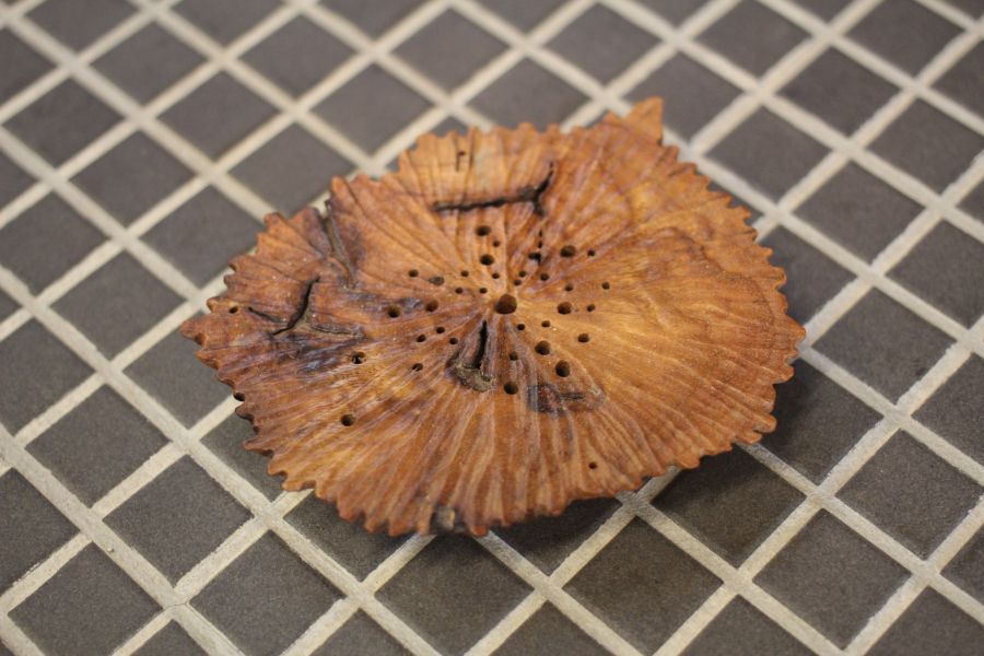 老樟木 奇木杯墊 手工荷葉紋 三峽日月坊出品 