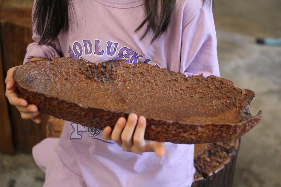 台灣肖楠 糖果盤 花器 聚寶盤 三峽日月坊出品 