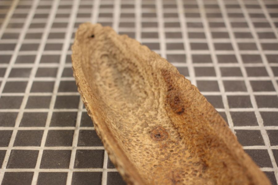 樟木 雕刻臥香座 點心盤 三峽日月坊出品 