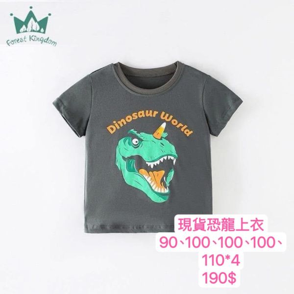 現貨男童恐龍上衣 