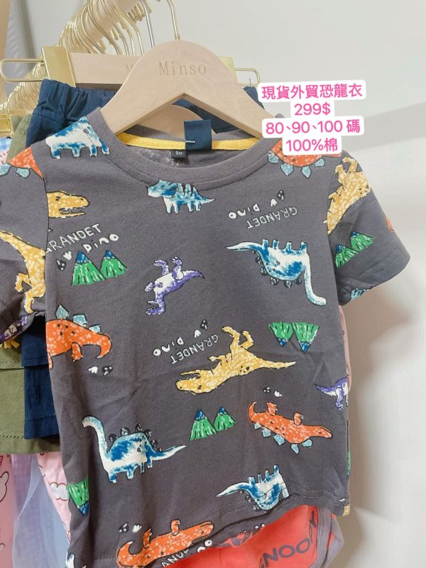 現貨男童恐龍上衣 