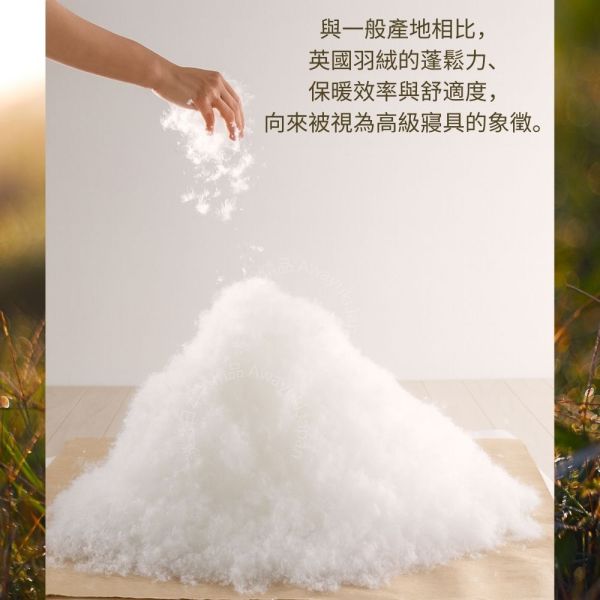 英國產羽絨 White Duck Down 日本製羽絨被-霧光淺藍 Misty Glacier Blue（淺灰藍） 英國羽絨85%・0.4kg・可水洗（150×210cm） J-TAS認證 日本製精品
日本製羽絨被
冬季保暖必備
日本羽絨被
可機洗羽絨被
0.3公斤羽絨被
頂級羽絨被
舒適睡眠關鍵
高品質居家用品
輕盈保暖
羽絨被
冬季居家好物
抗菌防臭設計
抗菌防蟎羽絨被
防蟎羽絨被
溫暖過冬神器
羽絨被推薦
極致日本工藝
高CP值羽絨被
睡眠質量提升
羅曼史小衫
東京西川
西川
頂級棉被
頂級羽絨被
四季皆宜羽絨被
日本代購