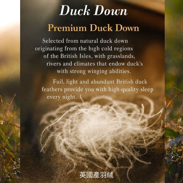英國產羽絨 White Duck Down 日本製羽絨被-霧光淺藍 Misty Glacier Blue（淺灰藍） 英國羽絨85%・0.4kg・可水洗（150×210cm） J-TAS認證 日本製精品
日本製羽絨被
冬季保暖必備
日本羽絨被
可機洗羽絨被
0.3公斤羽絨被
頂級羽絨被
舒適睡眠關鍵
高品質居家用品
輕盈保暖
羽絨被
冬季居家好物
抗菌防臭設計
抗菌防蟎羽絨被
防蟎羽絨被
溫暖過冬神器
羽絨被推薦
極致日本工藝
高CP值羽絨被
睡眠質量提升
羅曼史小衫
東京西川
西川
頂級棉被
頂級羽絨被
四季皆宜羽絨被
日本代購