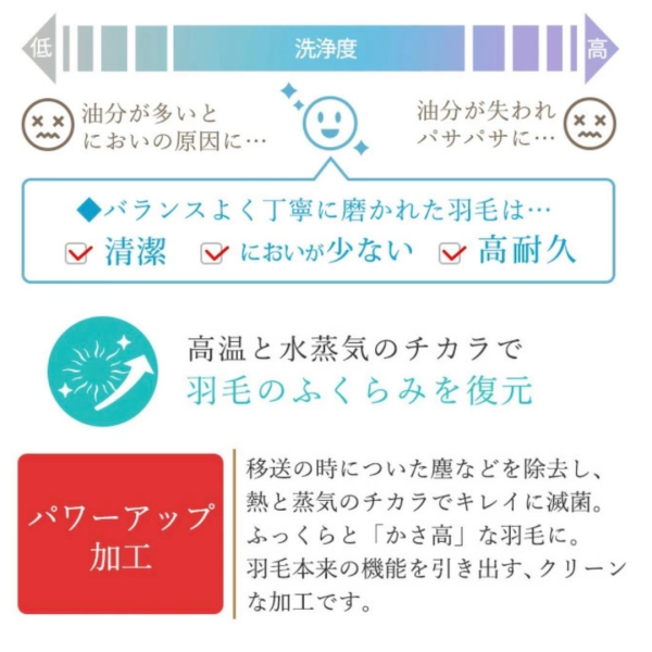 日本製 京都羅曼史小衫羽絨被_0.7kg (可手洗)《150x210公分》 日本製精品
日本製羽絨被
冬季保暖必備
日本羽絨被
可機洗羽絨被
0.7公斤羽絨被
頂級羽絨被
舒適睡眠關鍵
高品質居家用品
輕盈保暖
羽絨被
冬季居家好物
抗菌防臭設計
抗菌防蟎羽絨被
防蟎羽絨被
溫暖過冬神器
羽絨被推薦
極致日本工藝
睡眠質量提升
羅曼史小衫
東京西川
西川
頂級棉被
頂級羽絨被
四季皆宜羽絨被
日本代購
hermes
