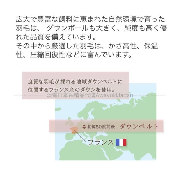 日本製 京都羅曼史小衫羽絨被0.3kg (可機洗)《150x210公分》 日本製精品
日本製羽絨被
冬季保暖必備
日本羽絨被
可機洗羽絨被
0.3公斤羽絨被
頂級羽絨被
舒適睡眠關鍵
高品質居家用品
輕盈保暖
羽絨被
冬季居家好物
抗菌防臭設計
抗菌防蟎羽絨被
防蟎羽絨被
溫暖過冬神器
羽絨被推薦
極致日本工藝
高CP值羽絨被
睡眠質量提升
羅曼史小衫
東京西川
西川
頂級棉被
頂級羽絨被
四季皆宜羽絨被
日本代購