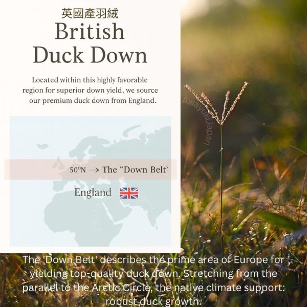 英國產羽絨 White Duck Down 日本製羽絨被-霧光淺藍 Misty Glacier Blue（淺灰藍） 英國羽絨85%・0.4kg・可水洗（150×210cm） J-TAS認證 日本製精品
日本製羽絨被
冬季保暖必備
日本羽絨被
可機洗羽絨被
0.3公斤羽絨被
頂級羽絨被
舒適睡眠關鍵
高品質居家用品
輕盈保暖
羽絨被
冬季居家好物
抗菌防臭設計
抗菌防蟎羽絨被
防蟎羽絨被
溫暖過冬神器
羽絨被推薦
極致日本工藝
高CP值羽絨被
睡眠質量提升
羅曼史小衫
東京西川
西川
頂級棉被
頂級羽絨被
四季皆宜羽絨被
日本代購