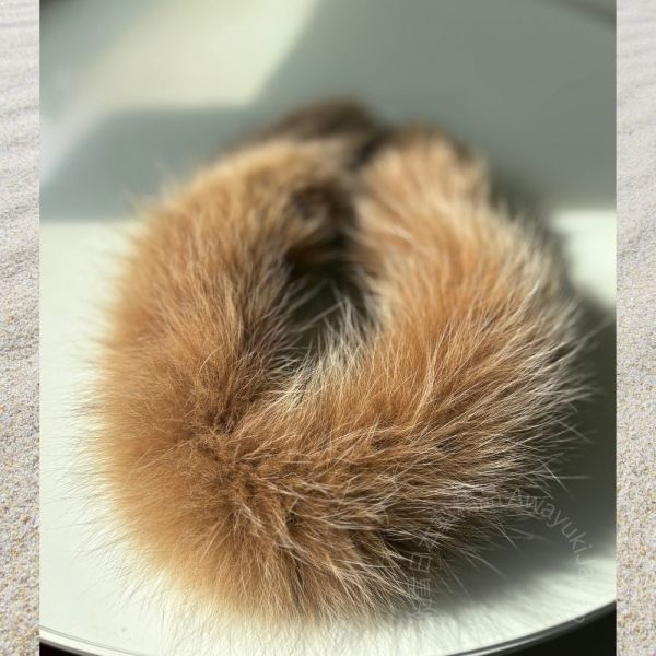 日本製 狐狸毛圍巾_柔金雪狐 · Renard Doré Velouté 金棕色(10x65cm) 毛毛圍巾 藍狐 狐狸毛 貴婦圍巾日本圍巾 保暖圍巾 SAGA 狐狸毛圍巾
毛毛圍巾
雙面圍巾
日本製絲巾
日本製圍巾
羊毛雙面圍巾
羊毛圍巾
一條抵兩條
保暖圍巾
克什米爾
silkscarf
scarf
hermesscarf
cashmere
日本代購
日本製代購
RectoVersomuffler
muffler
hermesmuffler
winteriscoming
甜美小姊姊風
氣質優雅女孩風
可甜可鹹