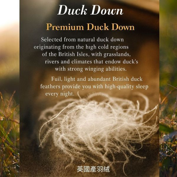 西川 × 英國產羽絨 White Duck Down 日本製羽絨被-杏霜米金 Ivory Almond Beige（米杏色） 英國羽絨85%・0.4kg・可水洗（150×210cm） J-TAS認證 日本製精品
日本製羽絨被
冬季保暖必備
日本羽絨被
可機洗羽絨被
0.3公斤羽絨被
頂級羽絨被
舒適睡眠關鍵
高品質居家用品
輕盈保暖
羽絨被
冬季居家好物
抗菌防臭設計
抗菌防蟎羽絨被
防蟎羽絨被
溫暖過冬神器
羽絨被推薦
極致日本工藝
高CP值羽絨被
睡眠質量提升
羅曼史小衫
東京西川
西川
頂級棉被
頂級羽絨被
四季皆宜羽絨被
日本代購