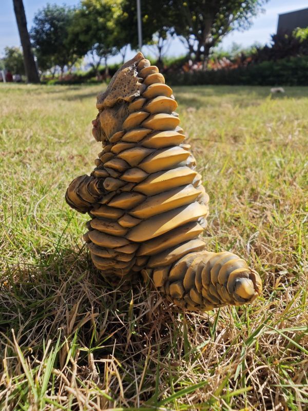 【預購】怪獸工作室>鹹蛋超人>怪獸無法無天地帶 雷德王登場 海賊王,航海王,索隆,羅羅亞,利群,POP,修羅,三刀流,GK,玩具,雕像,擺件,收藏