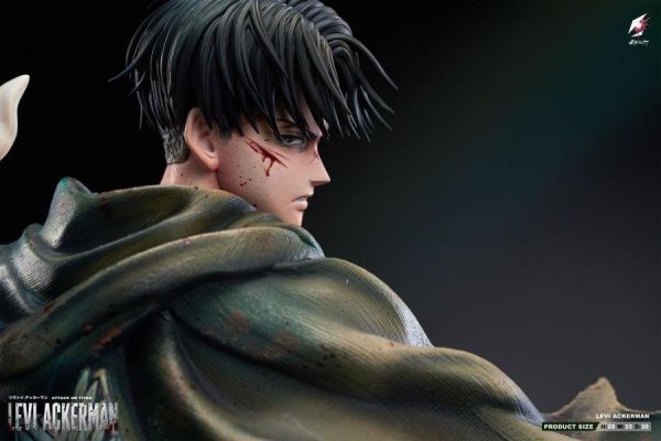 【補款】Scarlet緋紅 > 進擊的巨人 > 1/6 回眸兵長 里維·阿卡曼 Scarlet緋紅,進擊的巨人,兵長,里維·阿卡曼,GK,玩具,收藏,擺件,模型,公仔,人偶,手辦,動漫