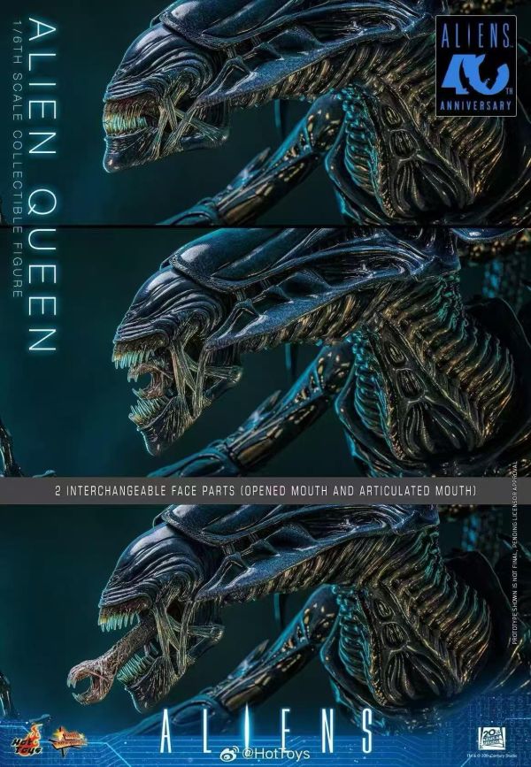 【預購】《正版授權》Hot Toys > 異形2 > 1/6 40週年珍藏人偶 異形皇后 Hot Toys,異形2,異形皇后,GK,玩具,收藏,擺件,模型,公仔,人偶,手辦,動漫