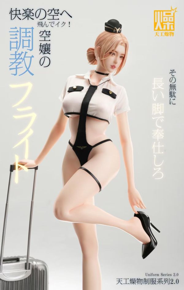 【預購】天工燥物 > 原創 > 1/4 2.0系列  空姐2.0 天工燥物,女警,GK,玩具,收藏,擺件,模型,公仔,人偶,手辦,動漫