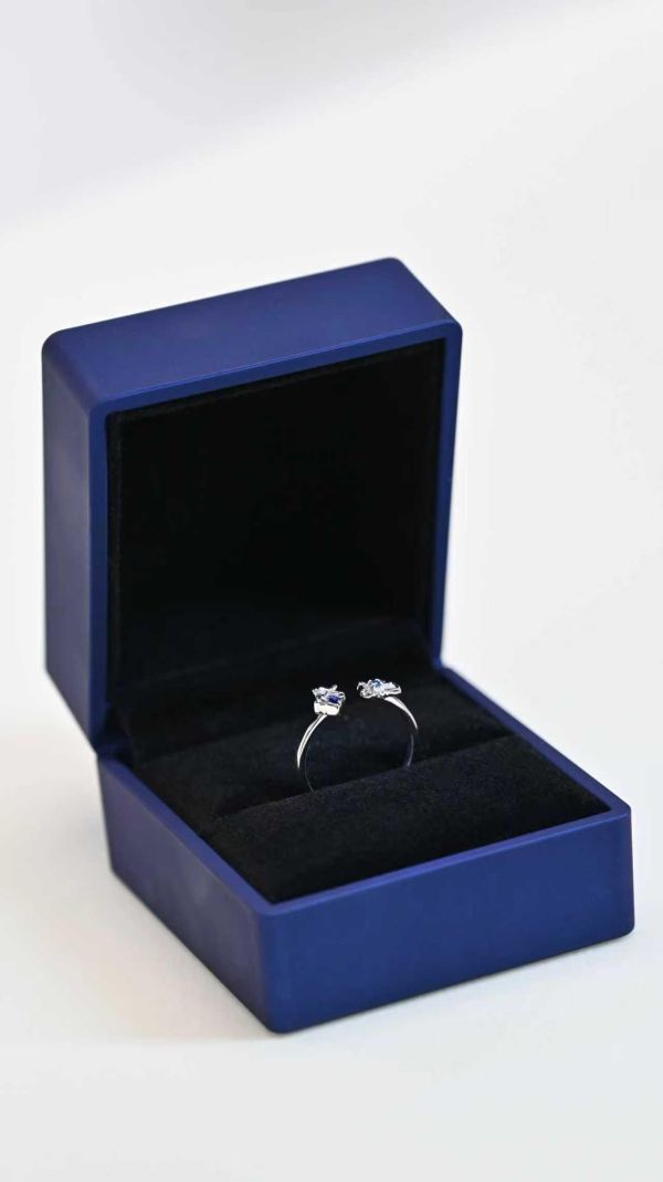 【預購】Hyperion > 崩壞：星穹鐵道 > 1/6 花嫁鴨鴨 布洛妮婭 神隱,宮崎駿,坊寶寶的劃行小隊,GK,玩具,收藏,擺件,模型,公仔,人偶,手辦,動漫