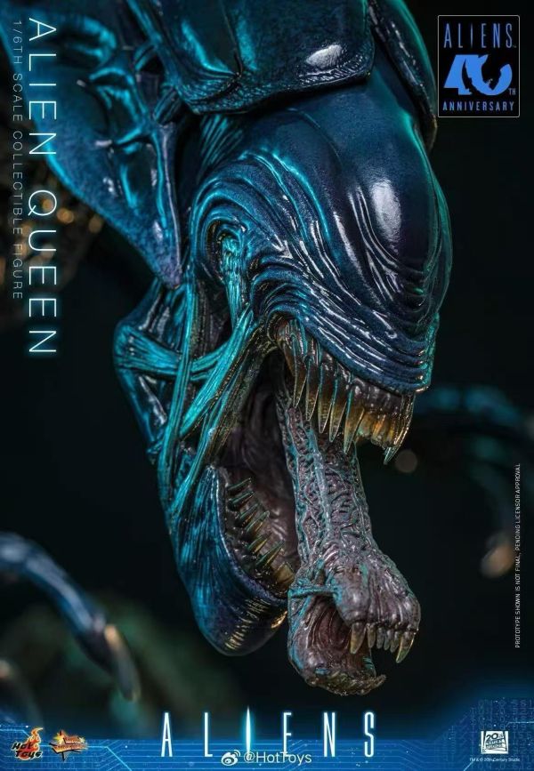 【預購】《正版授權》Hot Toys > 異形2 > 1/6 40週年珍藏人偶 異形皇后 Hot Toys,異形2,異形皇后,GK,玩具,收藏,擺件,模型,公仔,人偶,手辦,動漫