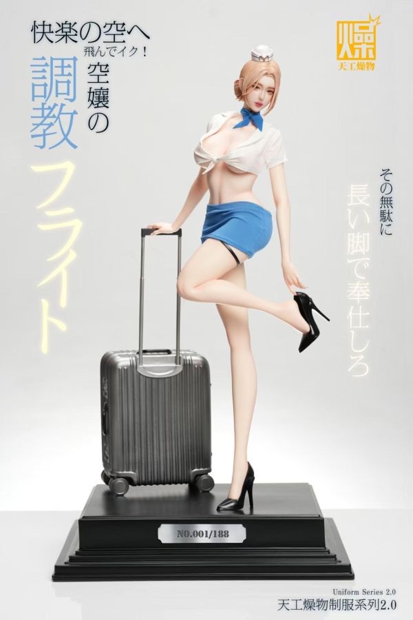 【預購】天工燥物 > 原創 > 1/4 2.0系列  空姐2.0 天工燥物,女警,GK,玩具,收藏,擺件,模型,公仔,人偶,手辦,動漫