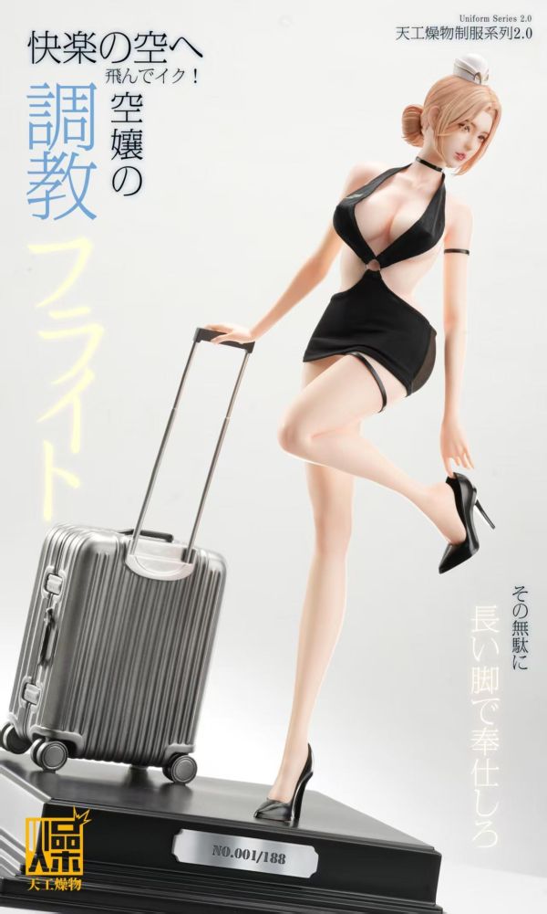 【預購】天工燥物 > 原創 > 1/4 2.0系列  空姐2.0 天工燥物,女警,GK,玩具,收藏,擺件,模型,公仔,人偶,手辦,動漫