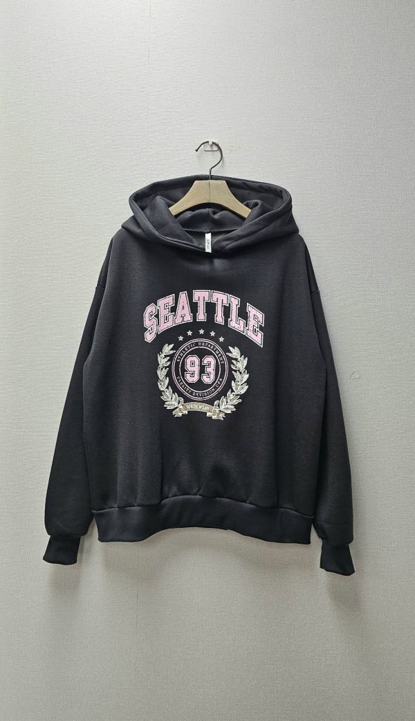 韓｜PINK〃三色加絨數字93連帽T｜F SEATTLE帽T, 刺繡大學T, 厚磅連帽T, 刷毛帽T, 暖冬大學T, 寬鬆版帽T, 美式復古上衣, 男女可穿帽T, 韓系帽T, SEATTLE 93