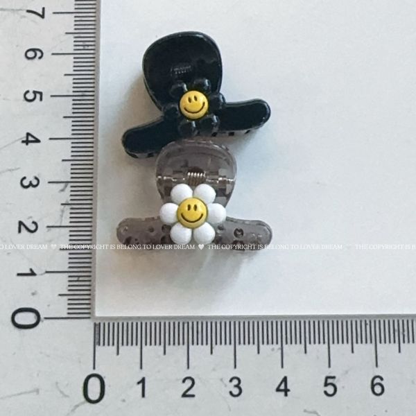 05081209┃飾品〃兩色組小雛菊花朵抓夾┃F┃250825結單 