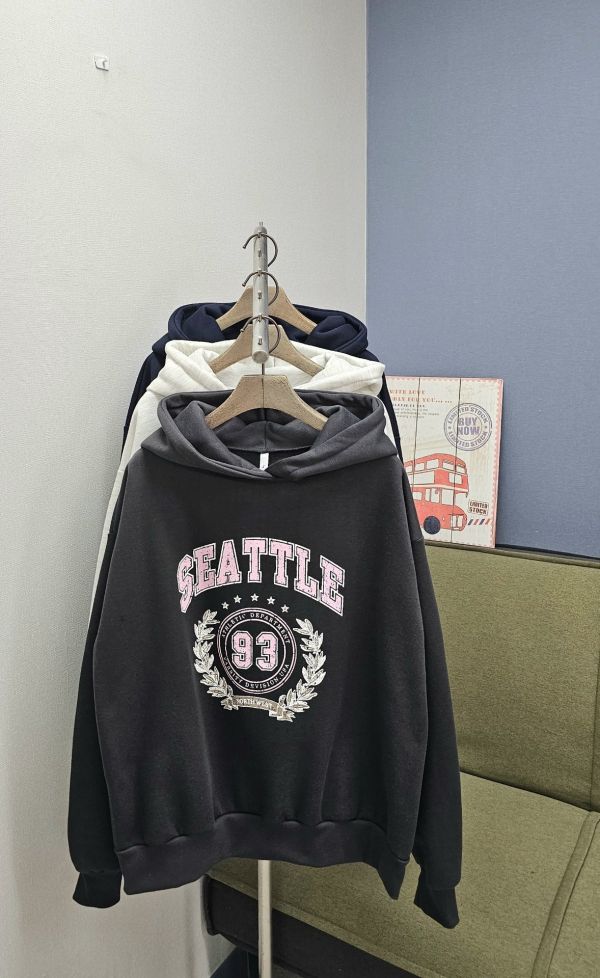 韓｜PINK〃三色加絨數字93連帽T｜F SEATTLE帽T, 刺繡大學T, 厚磅連帽T, 刷毛帽T, 暖冬大學T, 寬鬆版帽T, 美式復古上衣, 男女可穿帽T, 韓系帽T, SEATTLE 93