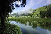 Explore the beautiful Yangmingshan,one day tour per person The lowest price USD$82 (Group size of 3 person at least ) 