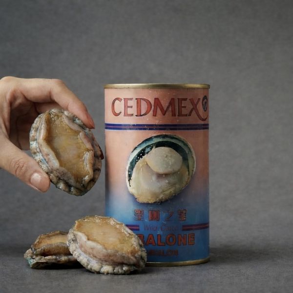 墨國之星鮑魚罐頭（單入） 