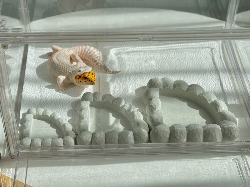 角落型岩石水杯(水盆) 
