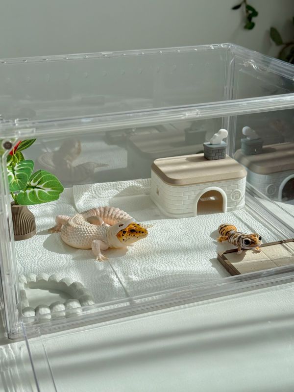 新手飼養三件套組 