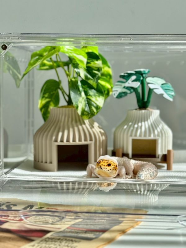 日系盆栽仿真綠植躲避屋 