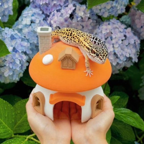 蘑菇小屋 