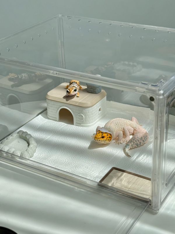 新手飼養三件套組 