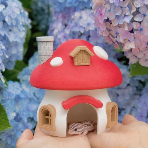蘑菇小屋 