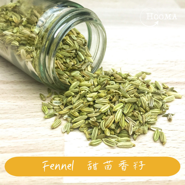 《印度》Hooma 進口香料 甜茴香籽, 50g/包 Fennel Seeds,印度香料,甜茴香籽,香料,甜孜然,義大利料理