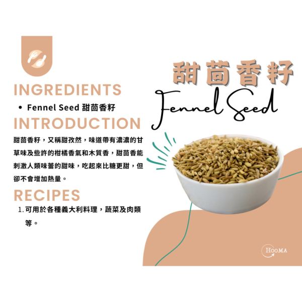 《印度》Hooma 進口香料 甜茴香籽, 50g/包 Fennel Seeds,印度香料,甜茴香籽,香料,甜孜然,義大利料理