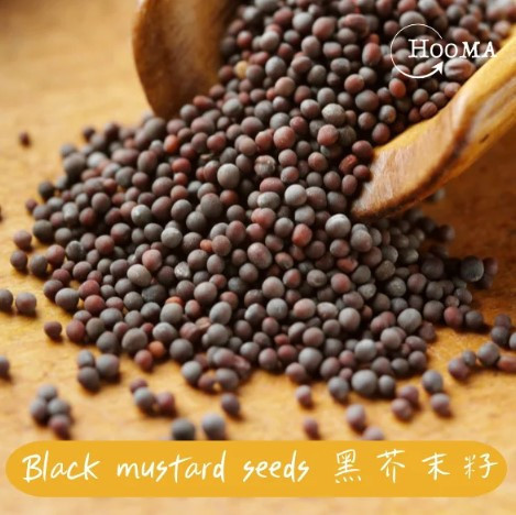 《印度》Hooma 進口香料 黑芥末籽/小芥末籽, 100g/包 black mustard seeds, Spiced, 印度香料, 小芥末籽, 香料, 黑芥末籽, 黑芥菜籽