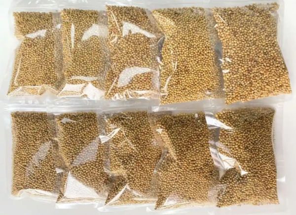 《印度》Hooma 進口香料 胡荽籽/胡荽粉, 100g/包 Coriander Seeds, Spiced, 印度香料, 海鮮, 燉煮咖哩, 胡荽籽, 胡荽粉, 香料, 香菜籽, 香菜粉