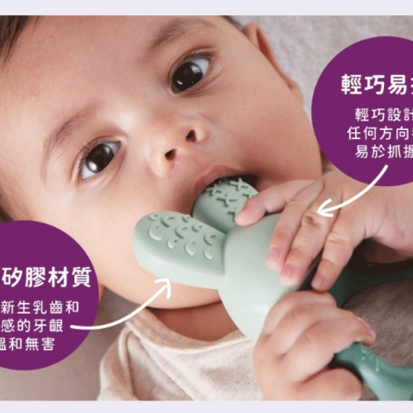 B.BOX 兔子冰涼咬牙器(多款) 