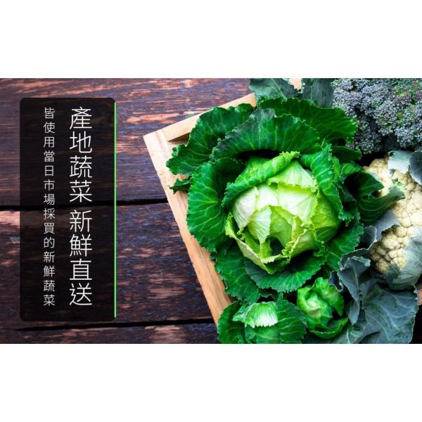 旅居漁村 寶寶鮮蝦水餃275克 