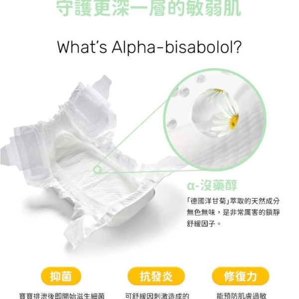 PARASOL Clear+Dry™ 新科技水凝果凍褲-褲型(多款) 